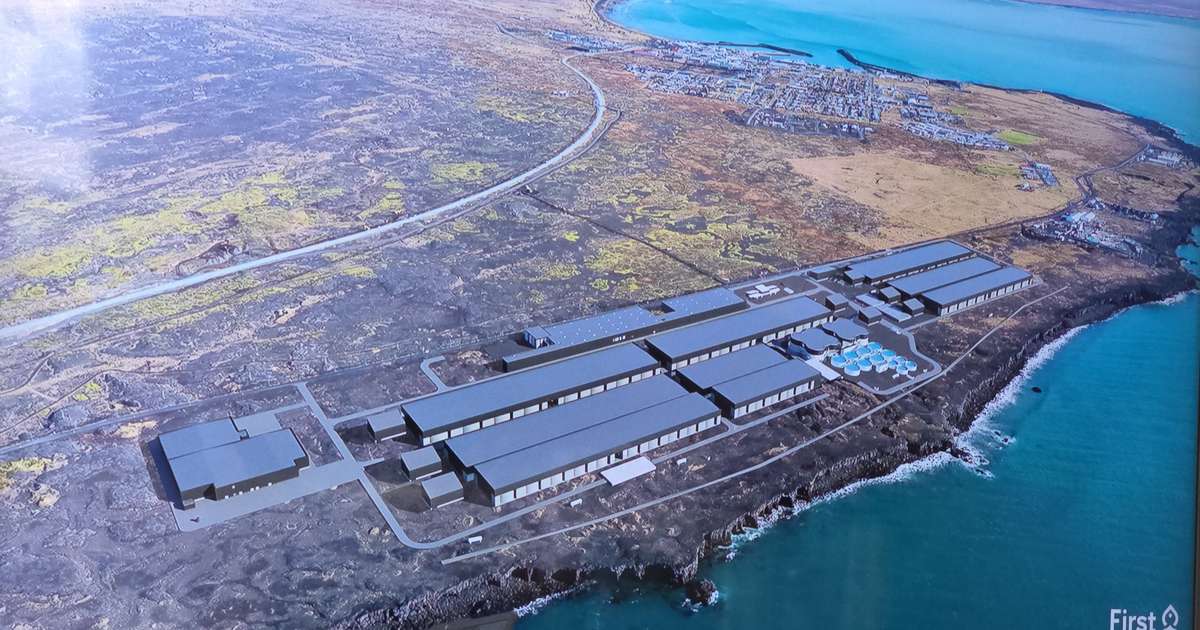 160 ker undir landeldi hjá First Water í Ölfusi - RÚV.is