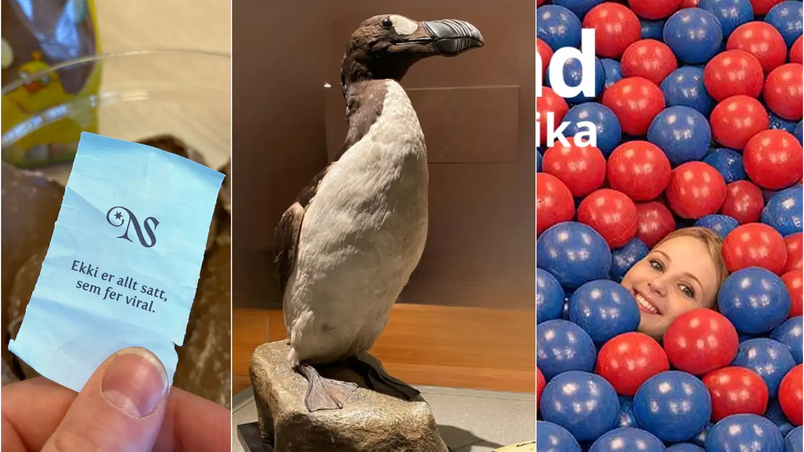 ChatGPT-málshættir, kílómetragjald og steinefnadrykkur fyrir hunda