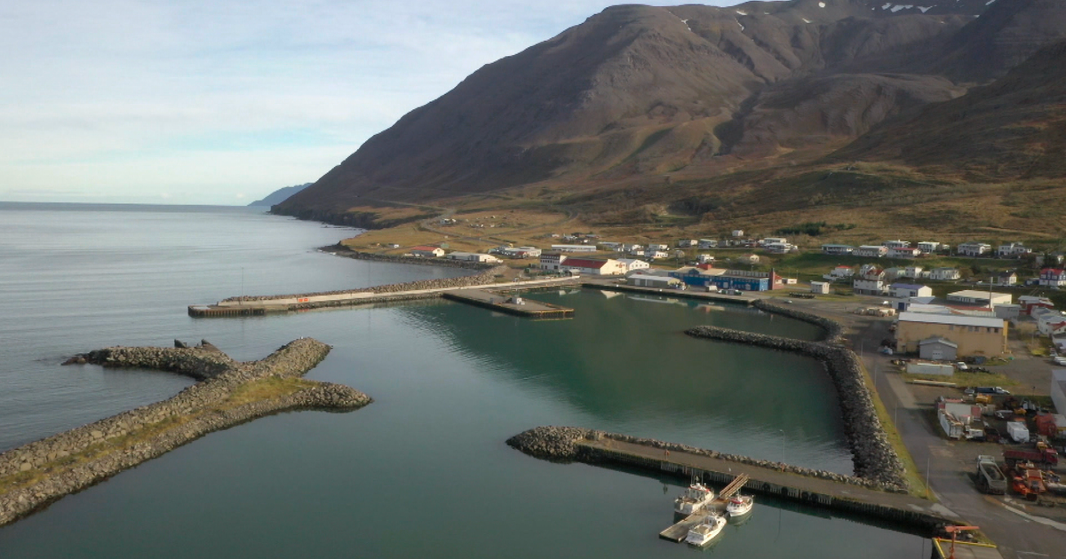 „Maður venst þessari lykt ekki neitt því hún er alltaf ógeðsleg“ - RÚV.is