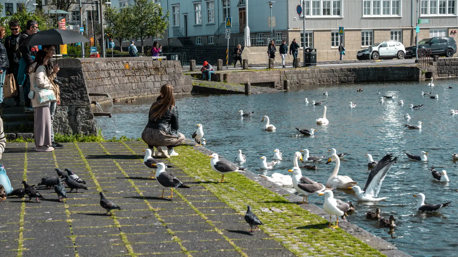 Hitinn gæti náð 20 stigum austanlands