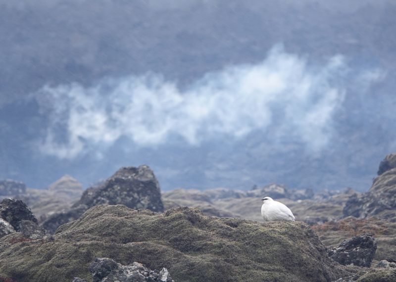 fre_20240319_021642358