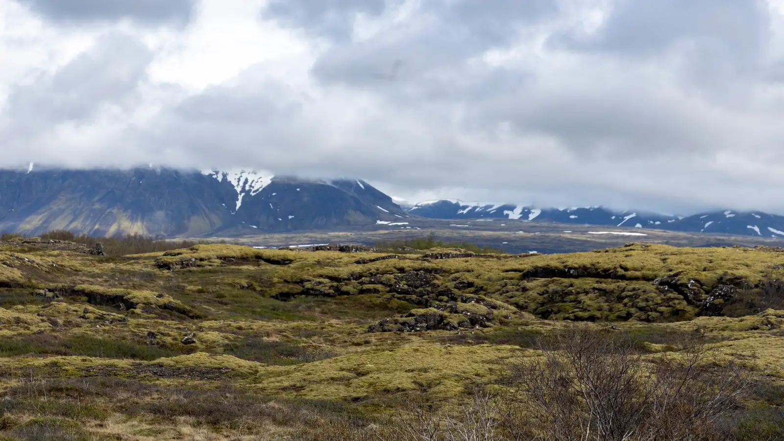 Tónleikagestir verða að skilja regnhlífarnar eftir heima en ekki nestið