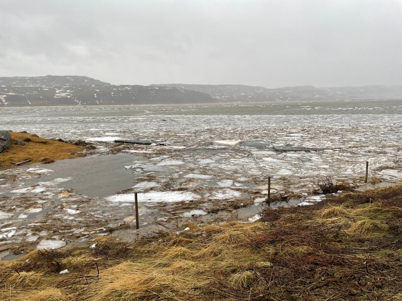 Norðurá vatnavextir