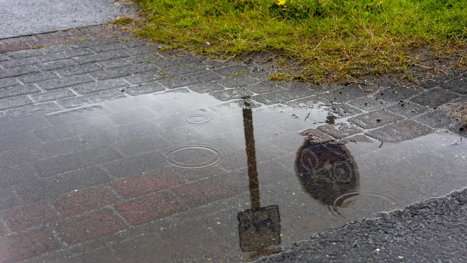 Blautt fram eftir degi en léttir til í kvöld