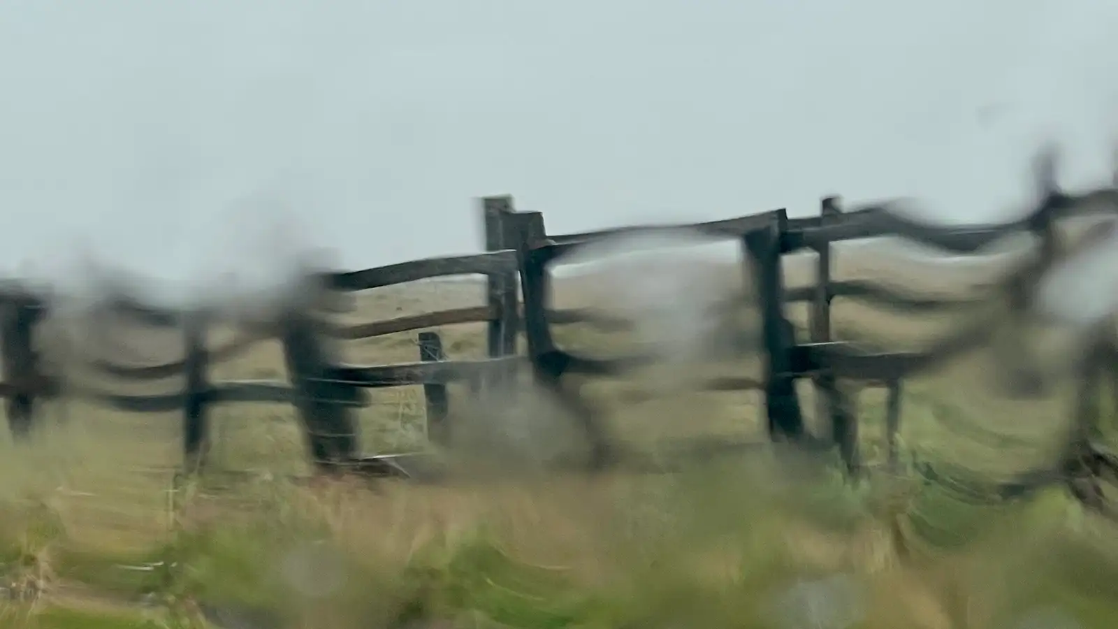 A warm week, but windy and wet by Friday