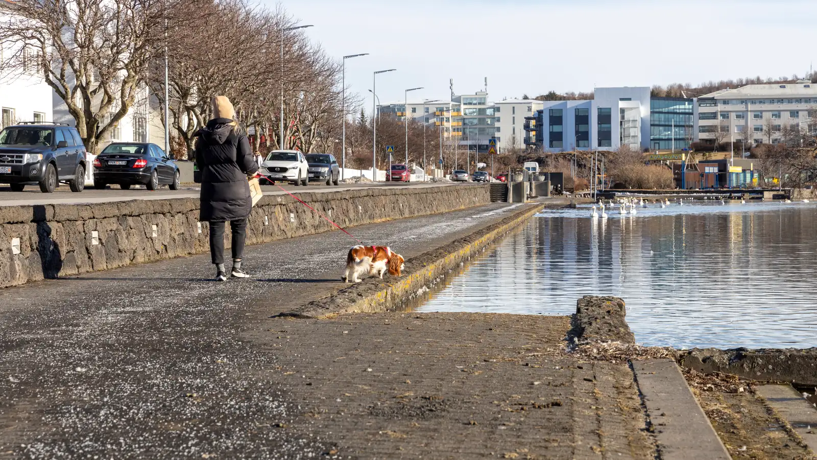Íhugar að kæra synjun um varðhald vegna kynferðisbrots í Hafnarfirði