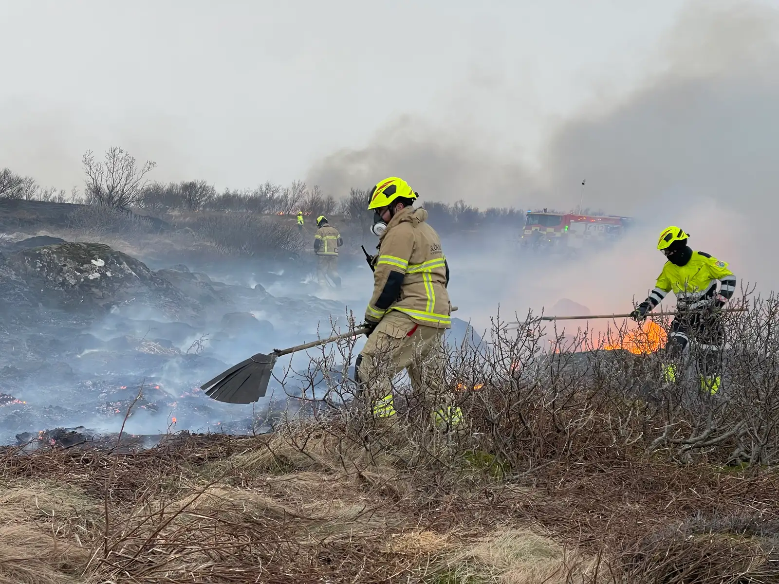 Sinueldur í Guðmundarlundi í Febrúar 2026.
