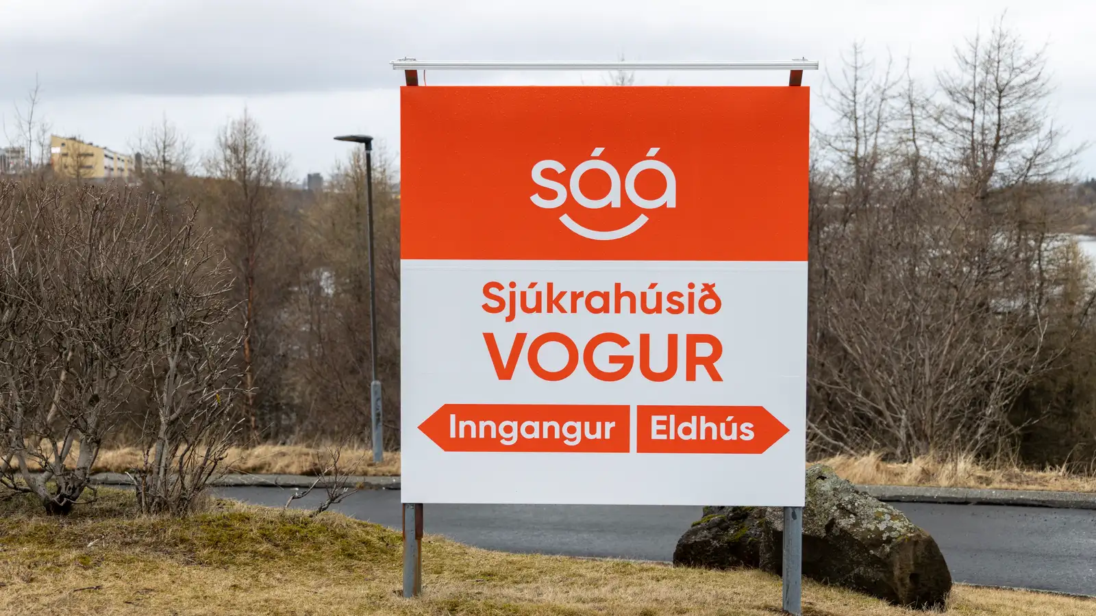 Segja af sér vegna afskipta stjórnar af faglegu starfi SÁÁ