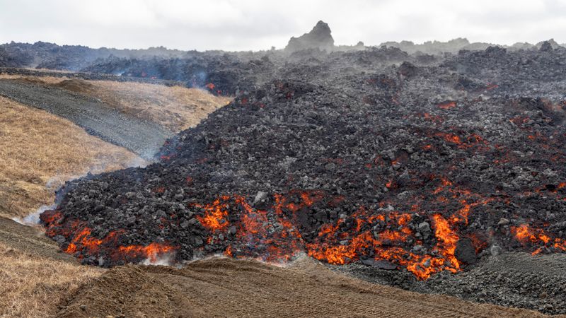 fre_20240321_13402419