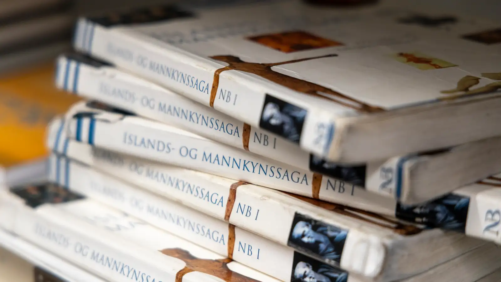 Helmingur drengja með grunnhæfni í lesskilningi