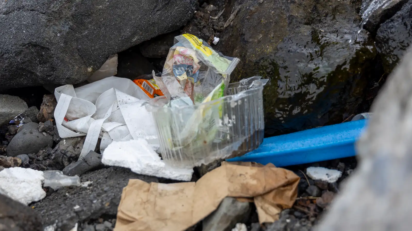 Rusl á víðavangi og í fjörunni í Gufunesi frá Sorpu