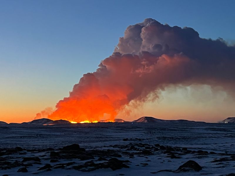 fre_20240208_100134193