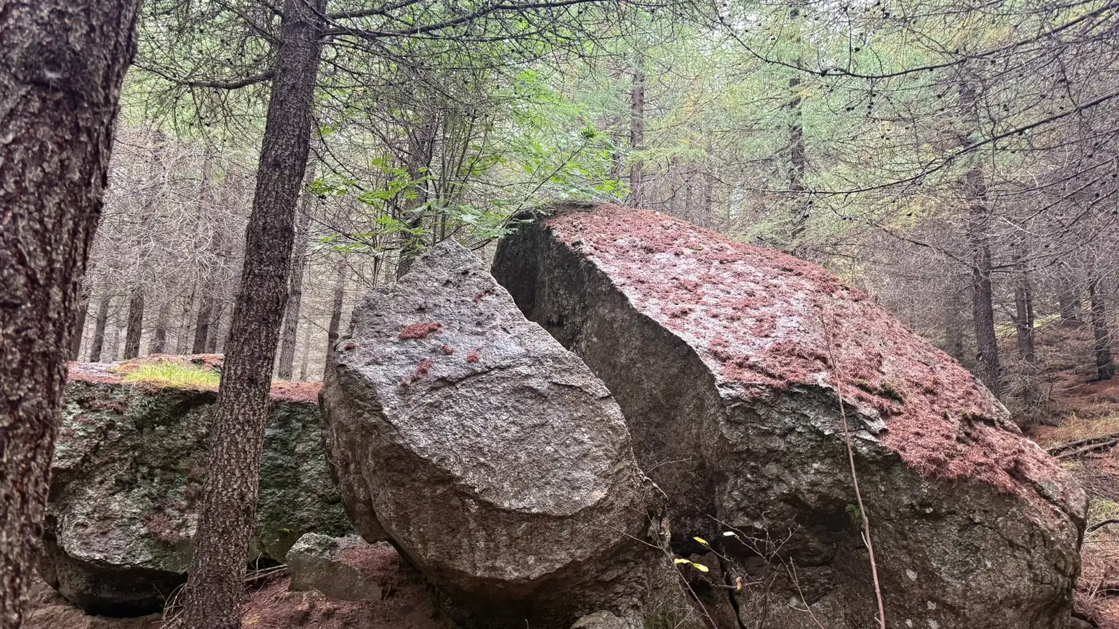 „Það er enginn hérna sem talar um þetta“