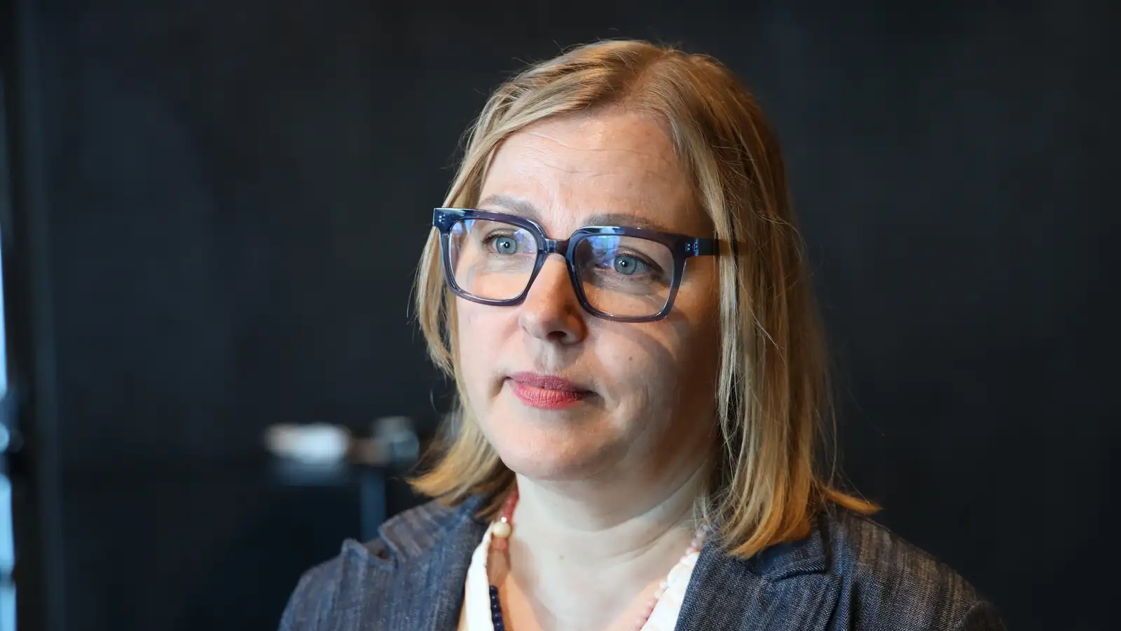 Undirbúa þjóðaratkvæðagreiðslu um ESB – „Þetta er vissulega áskorun“