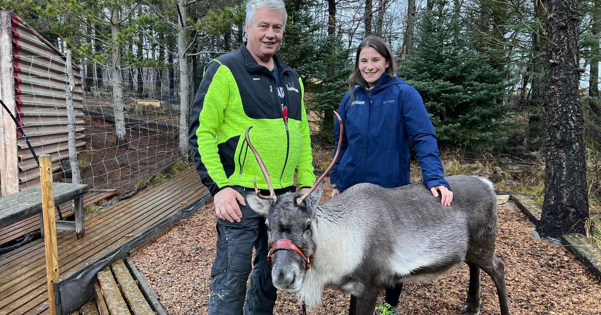 RÚV English Radio - THE REINDEER PARK, FELLABÆR - RÚV.is