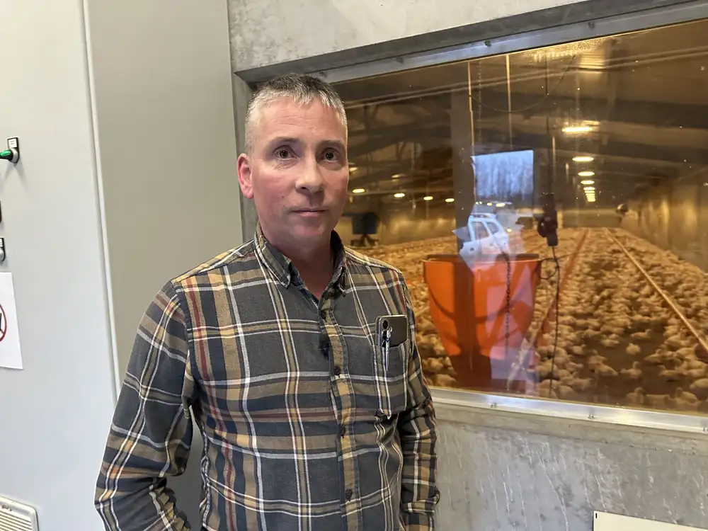 Myndin er af Ingvari Guðna Ingimundarsyni, alifuglabónda.