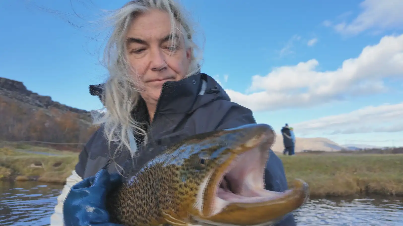 Metganga lax í Elliðaám í fyrra