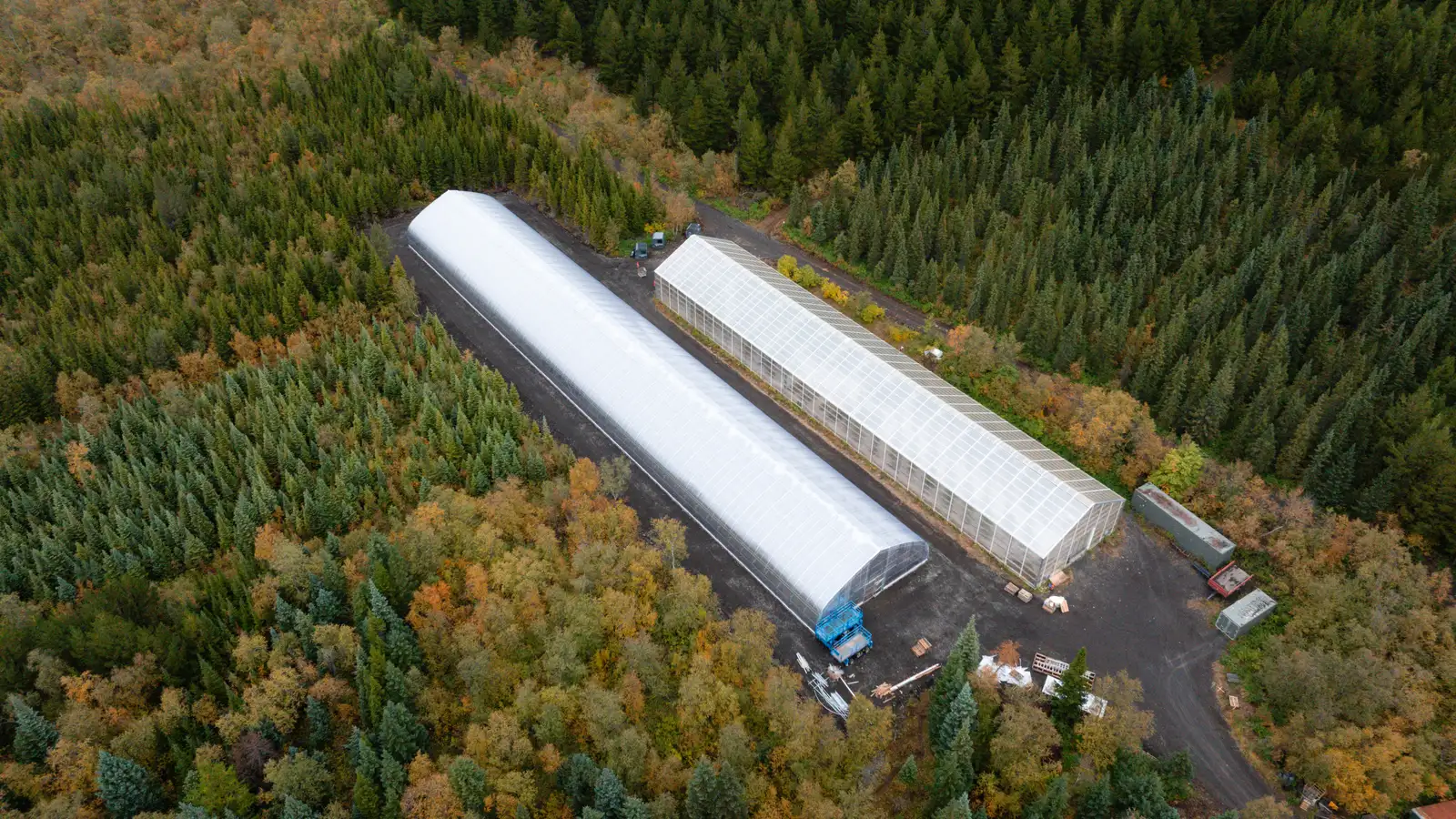 Geta stóraukið fræframleiðslu með nýju húsi í Vaglaskógi