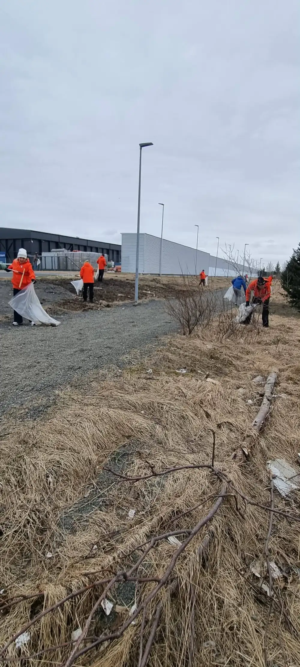 Íbúar á Selfossi hafa stofnað plokkvinafélag. Þau hittast á Selfossi og nágrenni og plokka rusl.