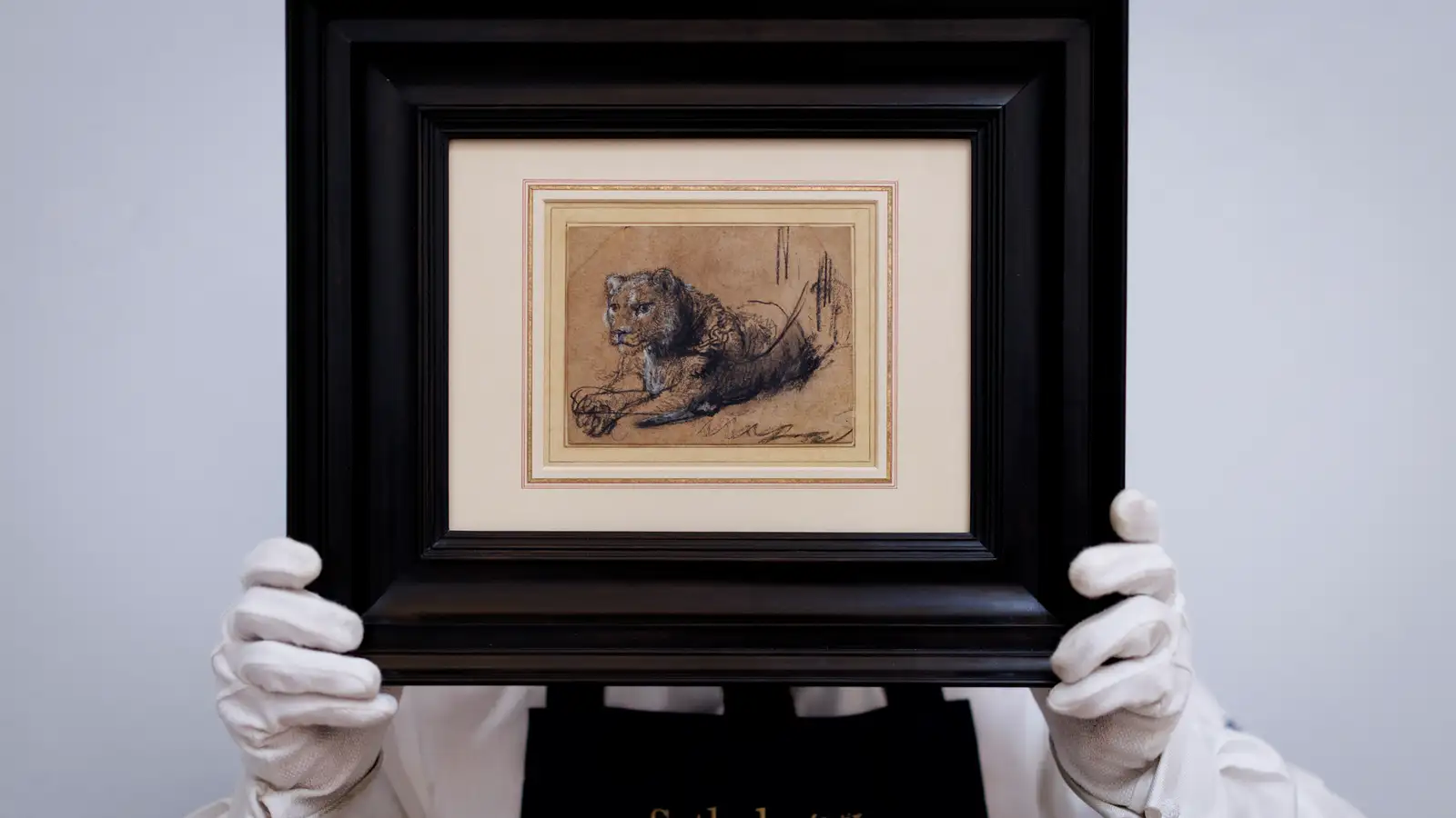 Rembrandt-teikning skilaði milljörðum til verndar stórköttum