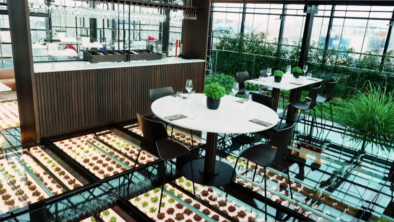 Veitingastaður í miðju jurtaríki