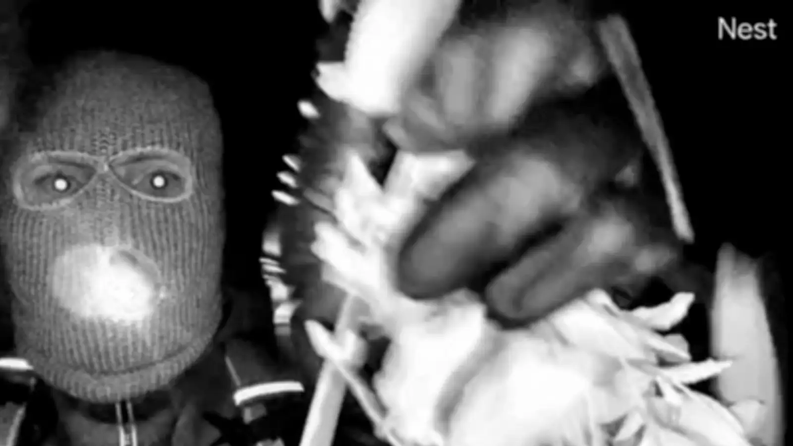 Móðir bandarískrar sjónvarpskonu enn ófundin, FBI birtir myndir af meintum mannræningja