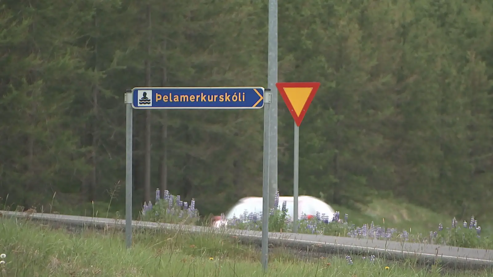 Alltaf jafn sárt að rifja þetta upp