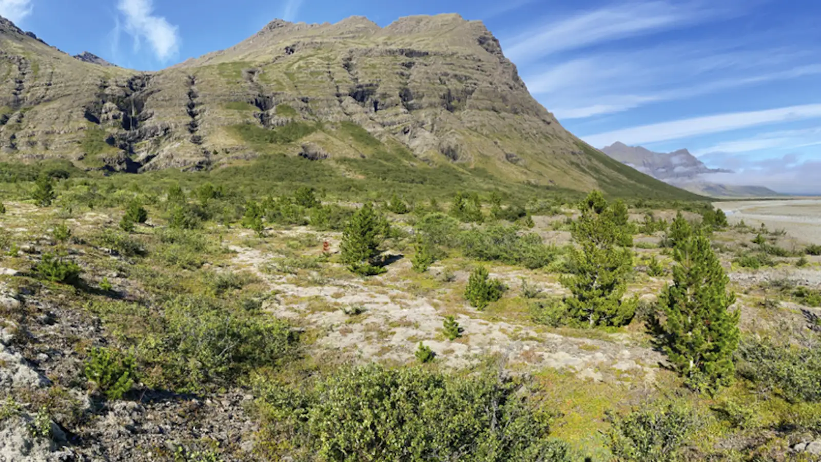 Allt að 14 stiga hiti