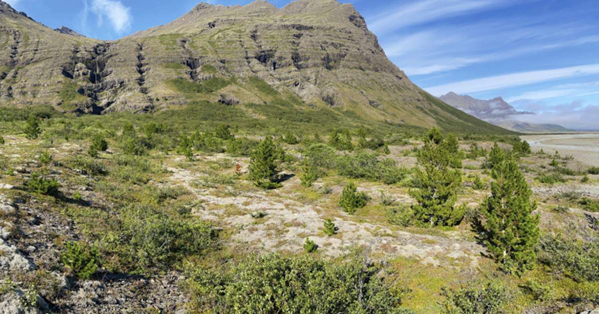 Allt að 14 stiga hiti - RÚV.is