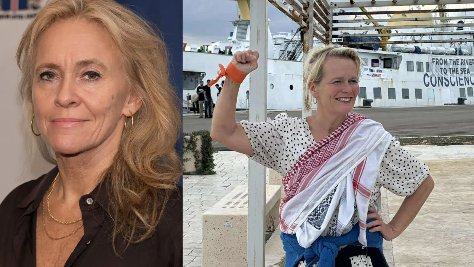 Foreign minister demands Israel comply with international law; Björk weighs in with support