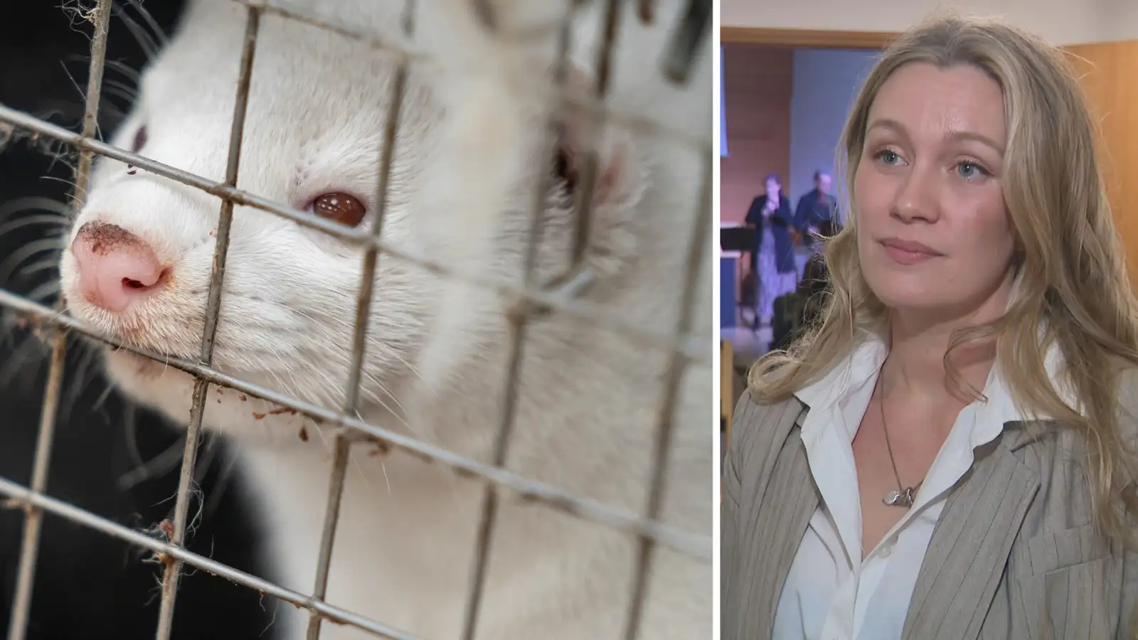 Gengur ekki að fjöldaframleiða framandi ágenga tegund