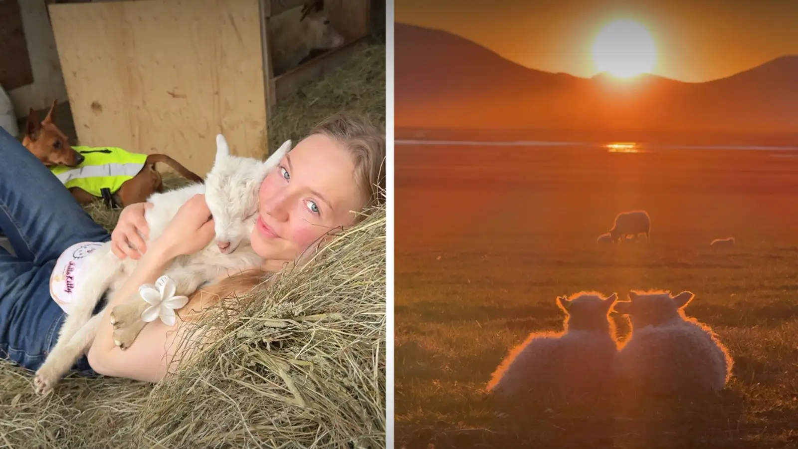 Bóndi í Skagafirði heimsfræg á TikTok: „Var alls ekki að búast við þessu“