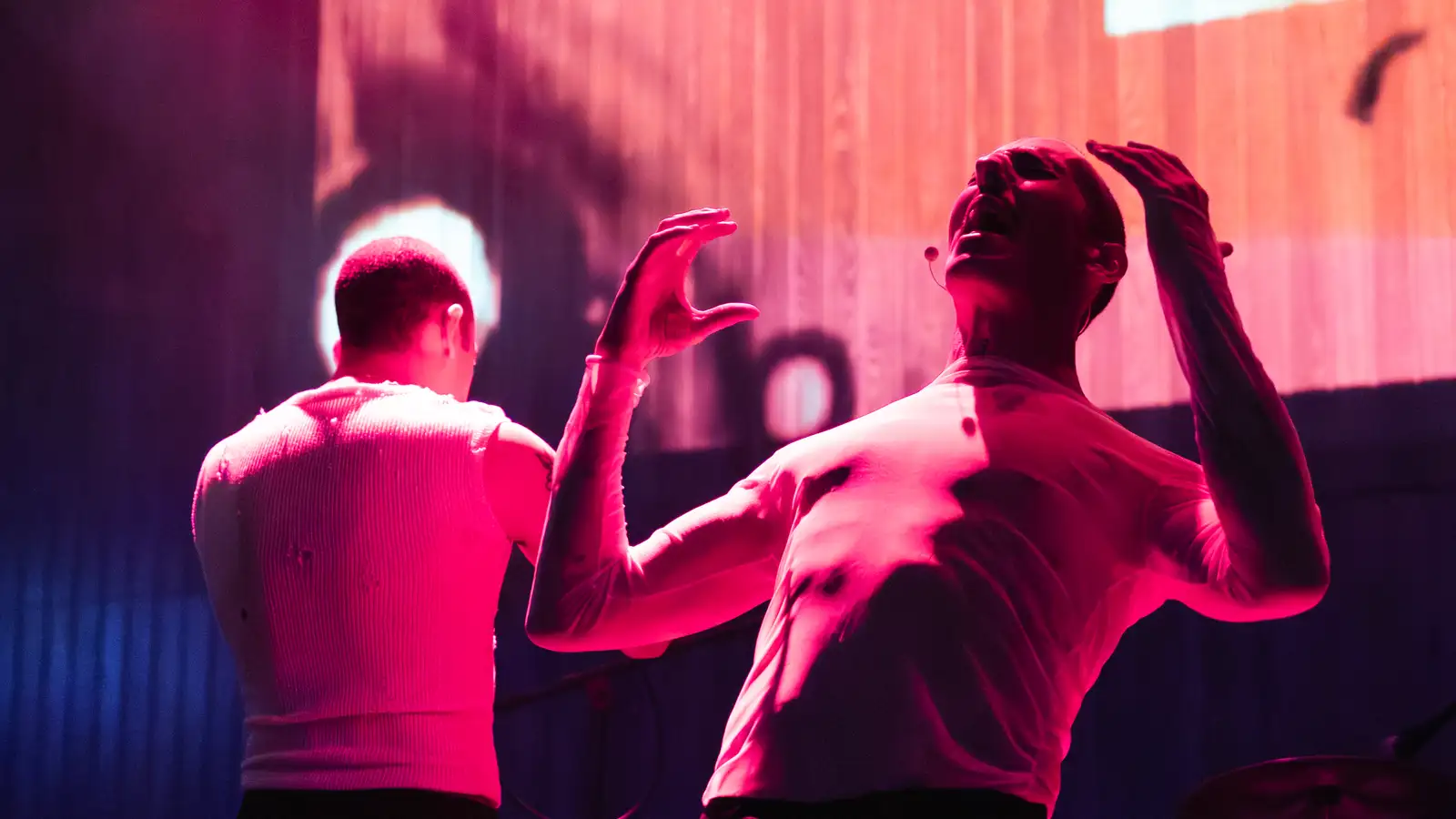 Flamenco, færeyska og falin andlit