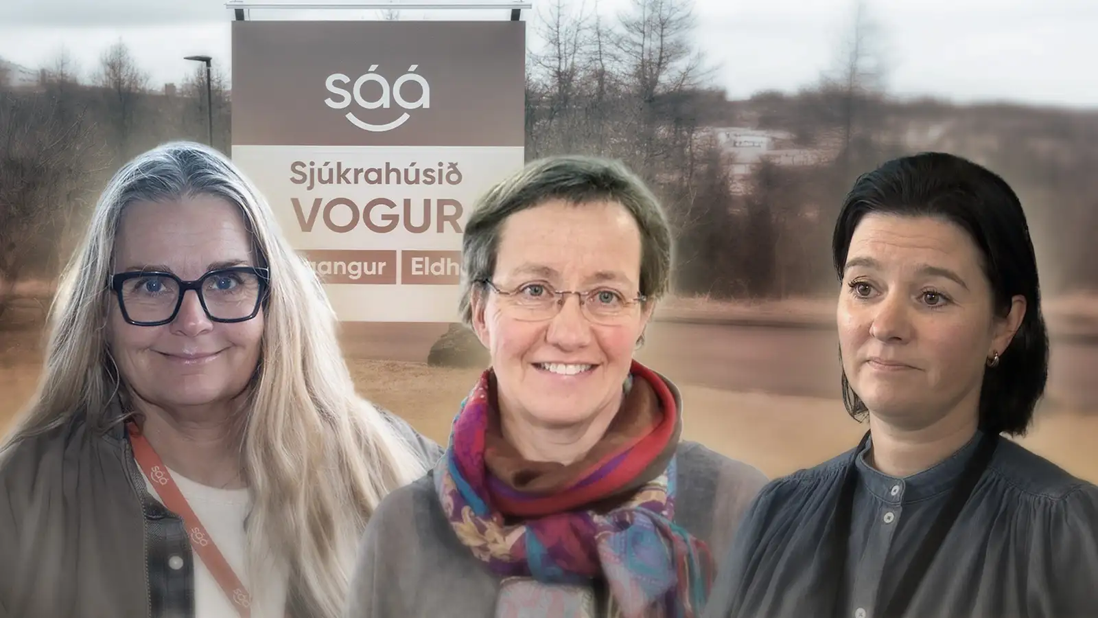 Um hvað snúast deilurnar innan SÁÁ?