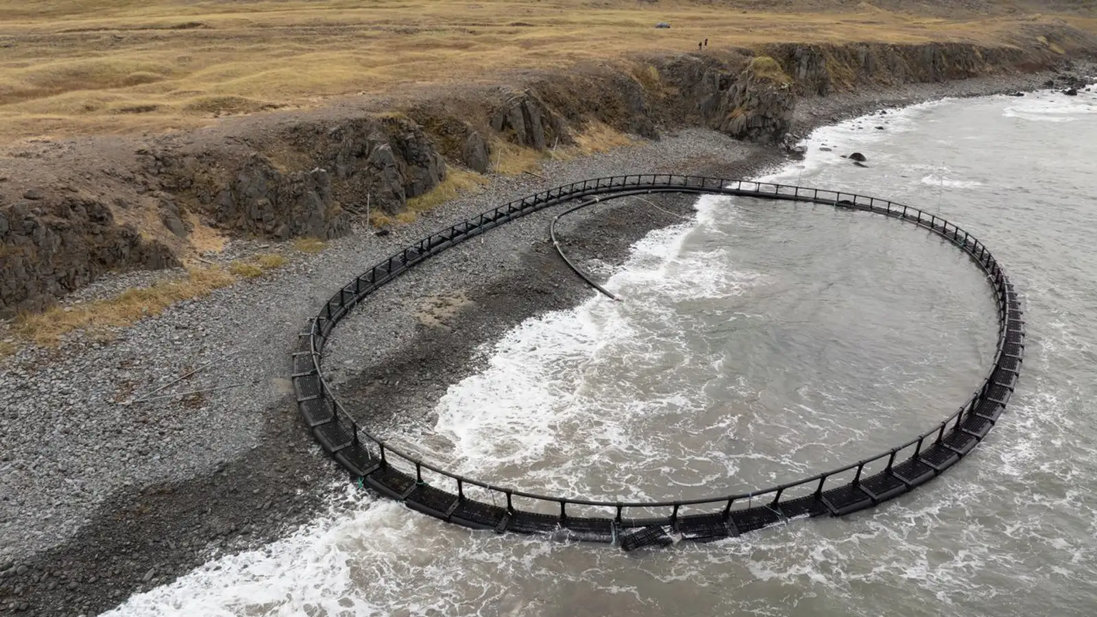 Telur enga hættu stafa af strandaðri sjókví