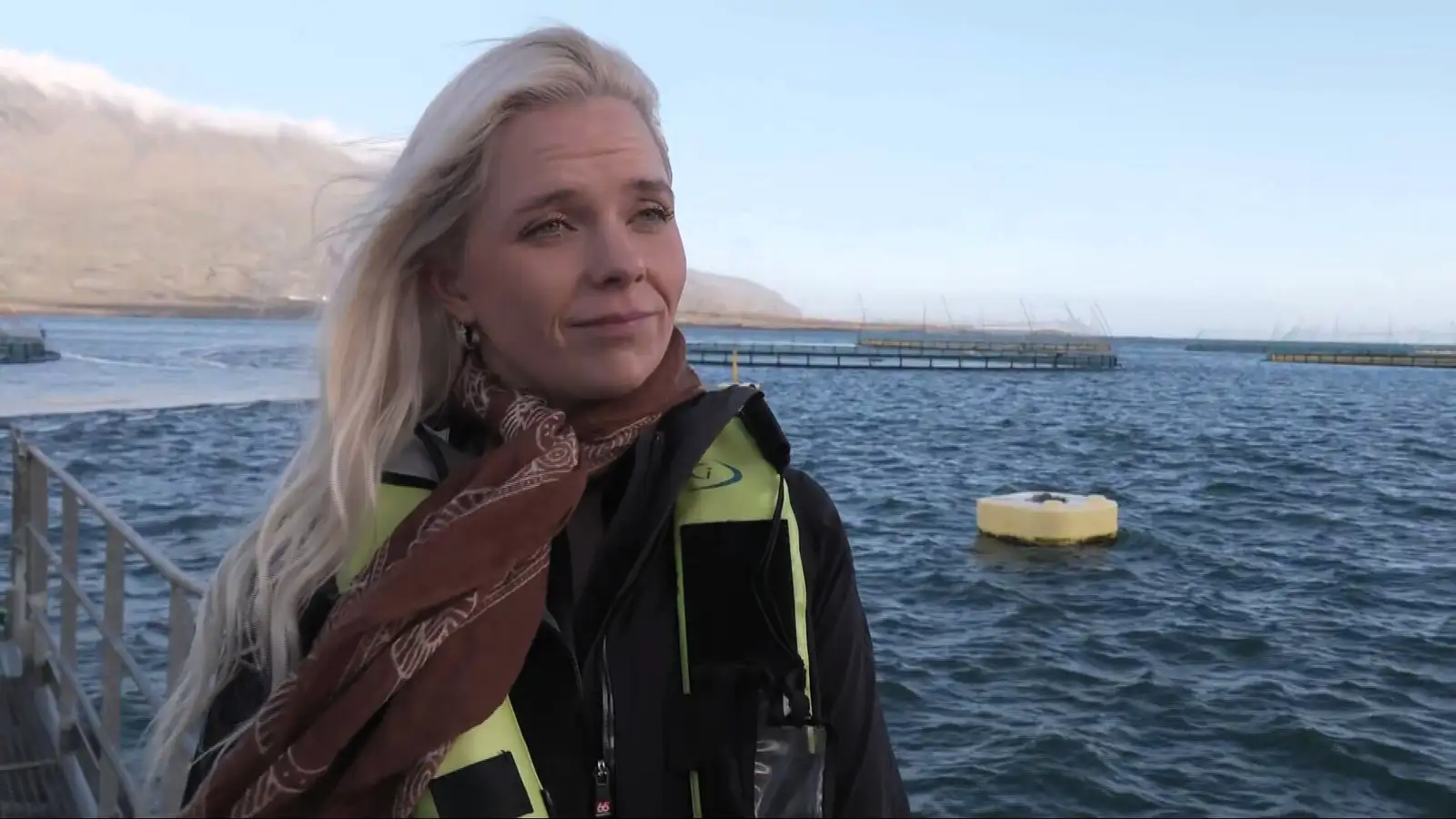 Tímalína uppbyggingar fiskeldis í Seyðisfirði óljós