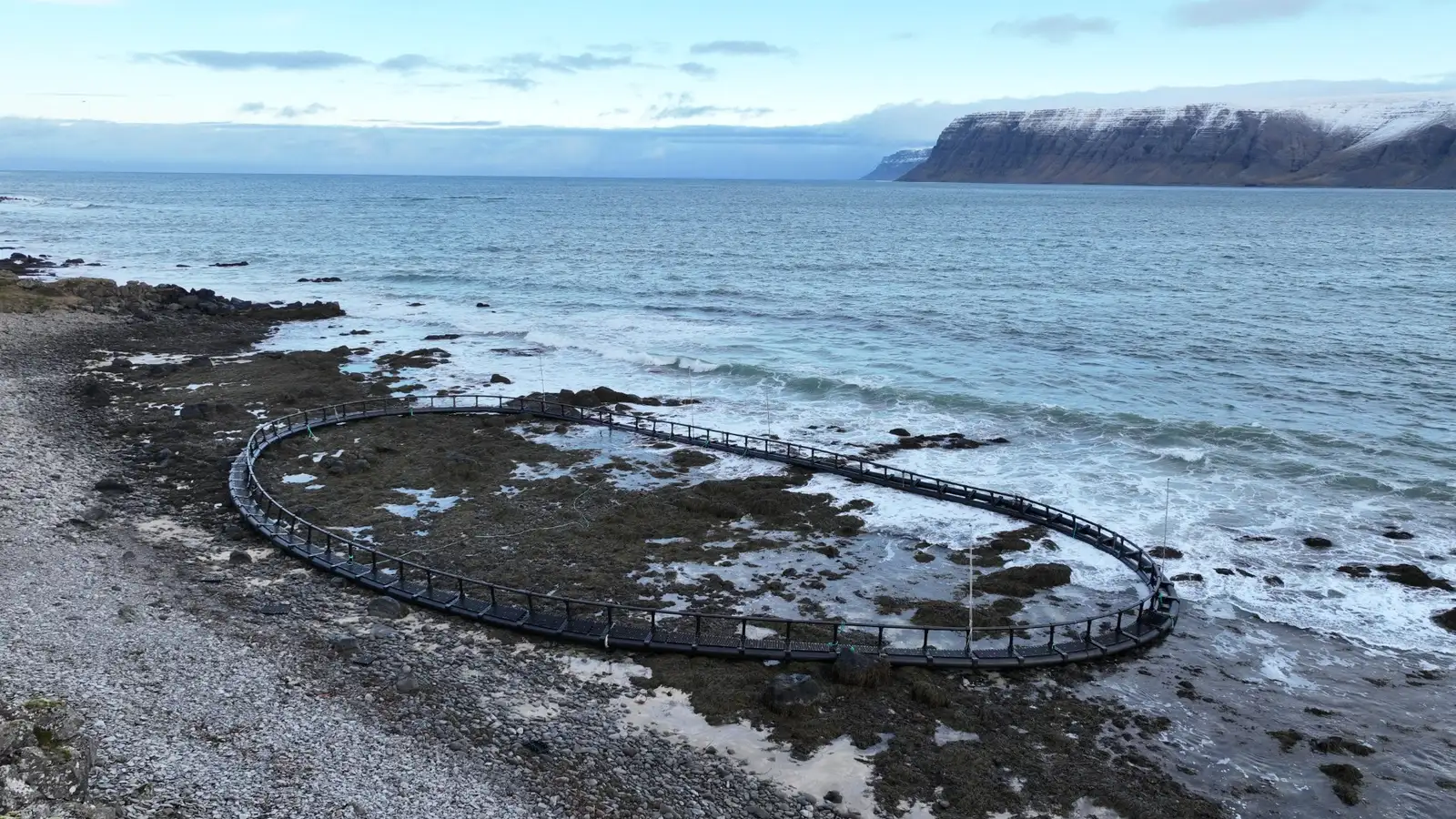 Flothringur af sjókví slitnaði frá og fór aftur að reka um Patreksfjörð