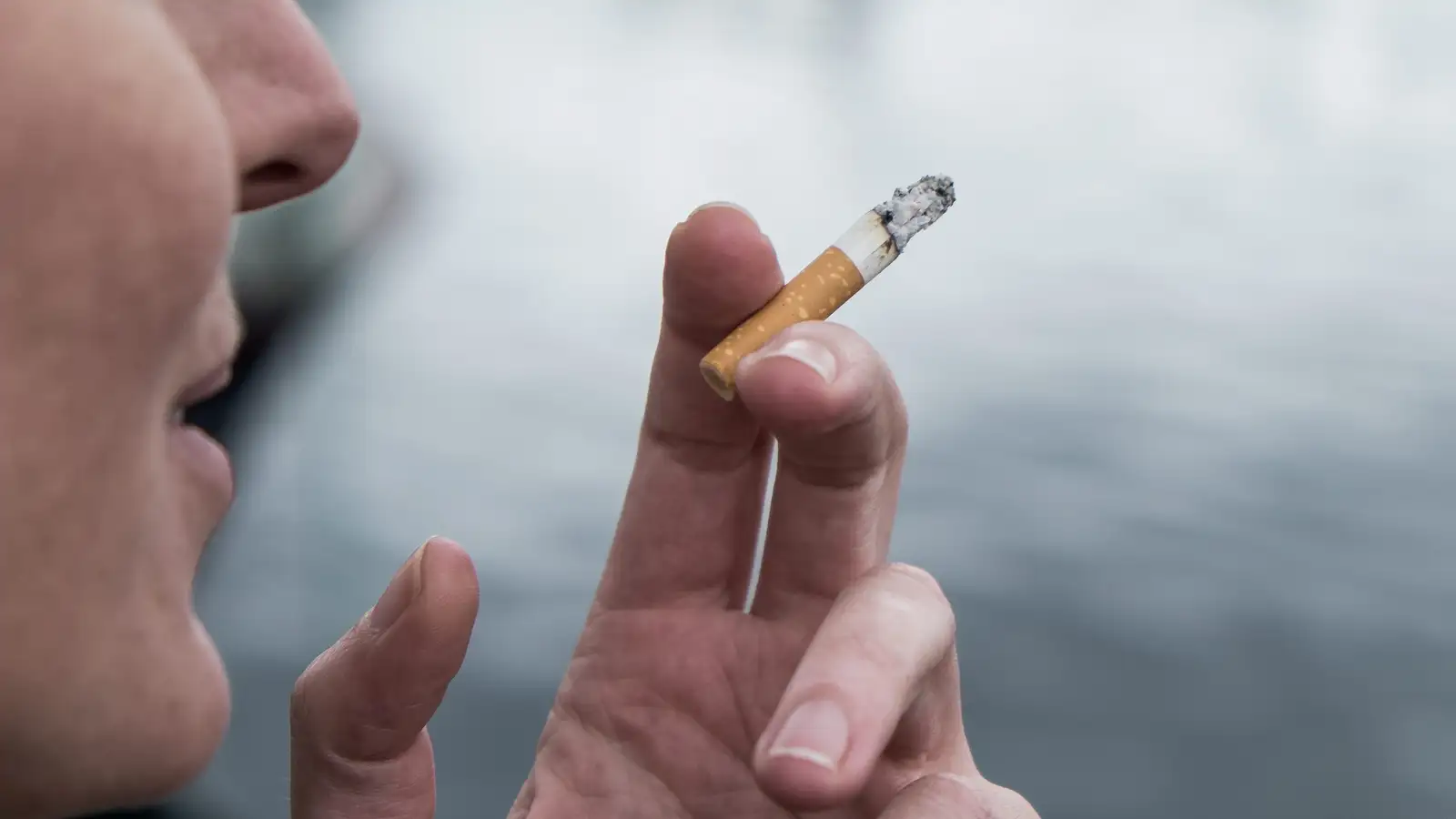 Tollgæsla gerði 19 tonn af tóbaki upptæk og um milljón vindlinga