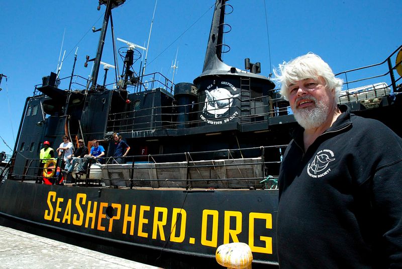 epa01278696  (FILE) A file photograph showing  Captain Paul Watson from Canada stands on the dock next to the Canadian flagged vessel Farley Mowat  detained by South African authorities in Cape Town harbour, 26 January 2006. An anti-whaling campaigner Paul Watson of the Sea Shepherd group says he had been shot by Japanese sailors while protesting over their hunting activities in the Antarctic on 07 March 2008. Paul Watson, said his colleagues had been throwing stink bombs, but the Japanese responded with 'flash grenades