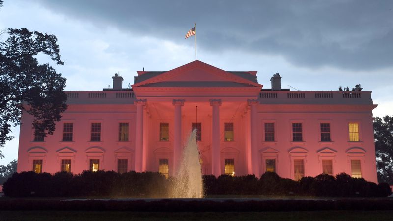 The White House in Washington is lit in pink in honor of breast cancer awareness month, Friday, Oct. 9, 2015.  (AP Photo/Susan Walsh)