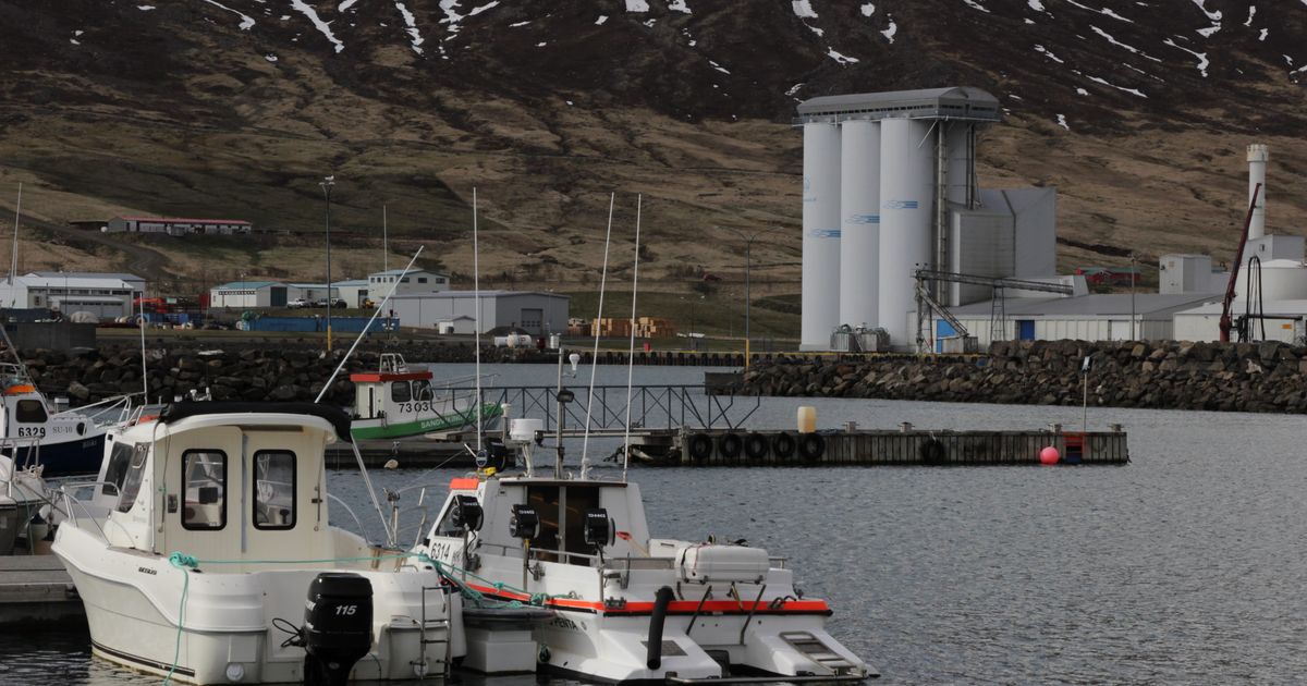 Neyðast til að keyra fiskimjölsverksmiðjur á olíu - RÚV.is