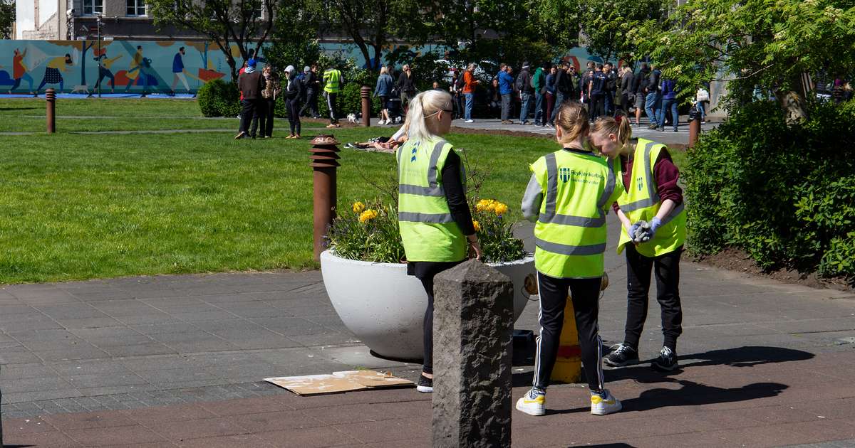 100 sumarstörf í Reykjavík fyrir ungmenni fædd 2009 - RÚV.is