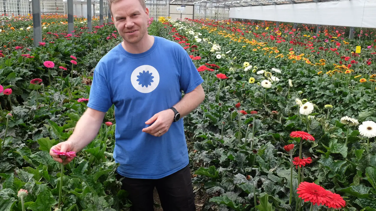 Rafmagnsverð lækkar til garðyrkjubænda