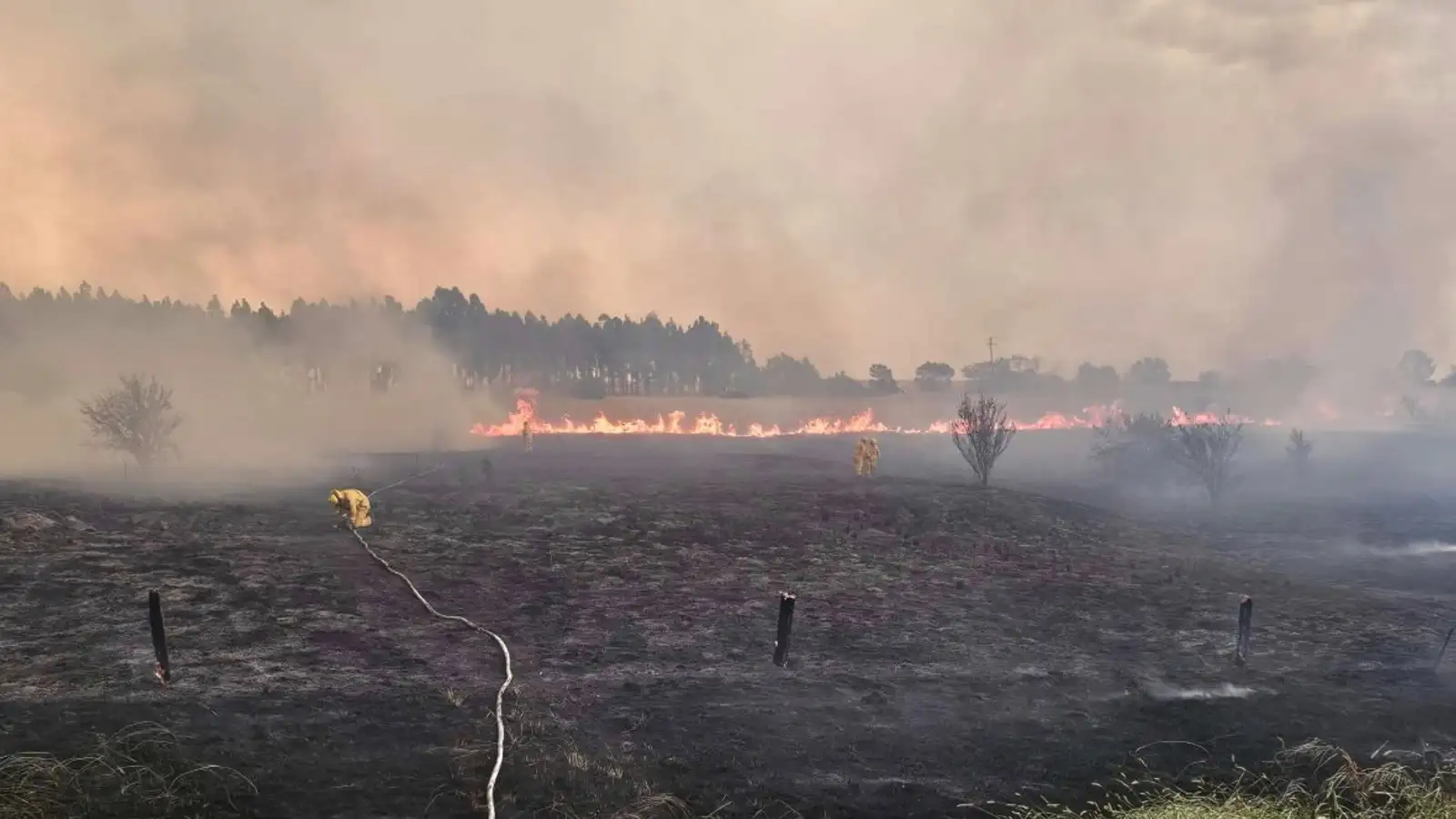 Neyðarástand í Ástralíu: Gróðureldar geisa og einn látinn