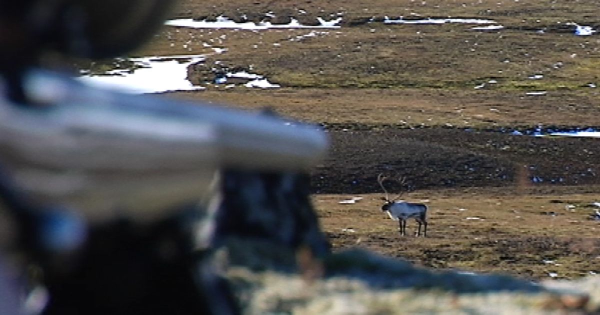 Vill herða reglur um geymslu skotvopna - RÚV.is