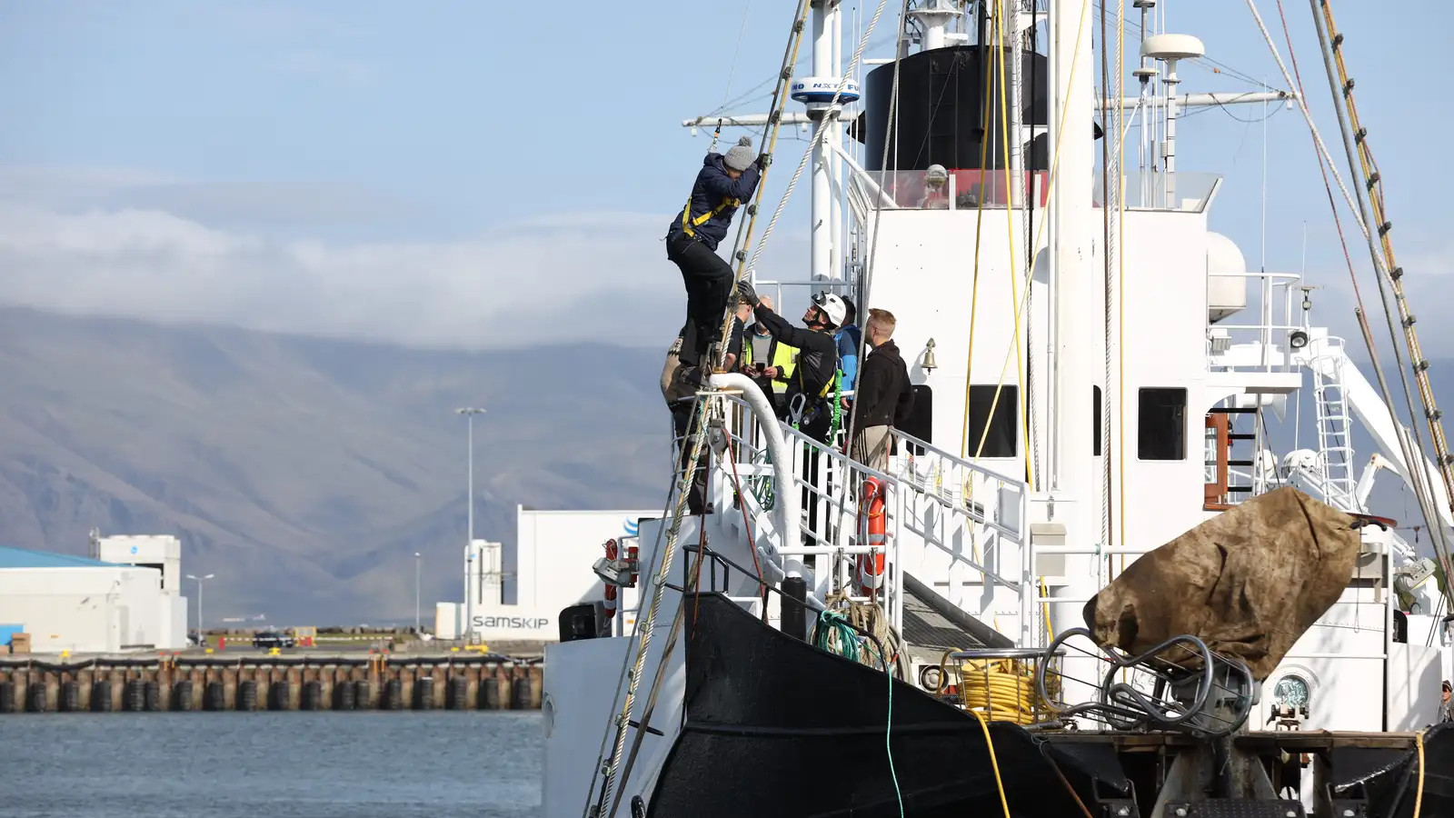 Hvalveiðimótmælendur dæmdar til sektar