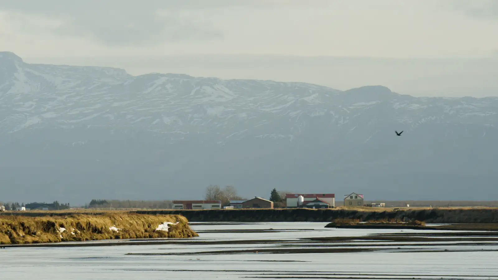 Telur nauðsynlegt að mál vistbarna fari í gegnum dómskerfið