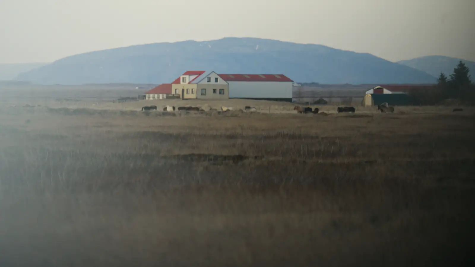 Forsætisráðherra boðar lögmenn níumenningana á fund