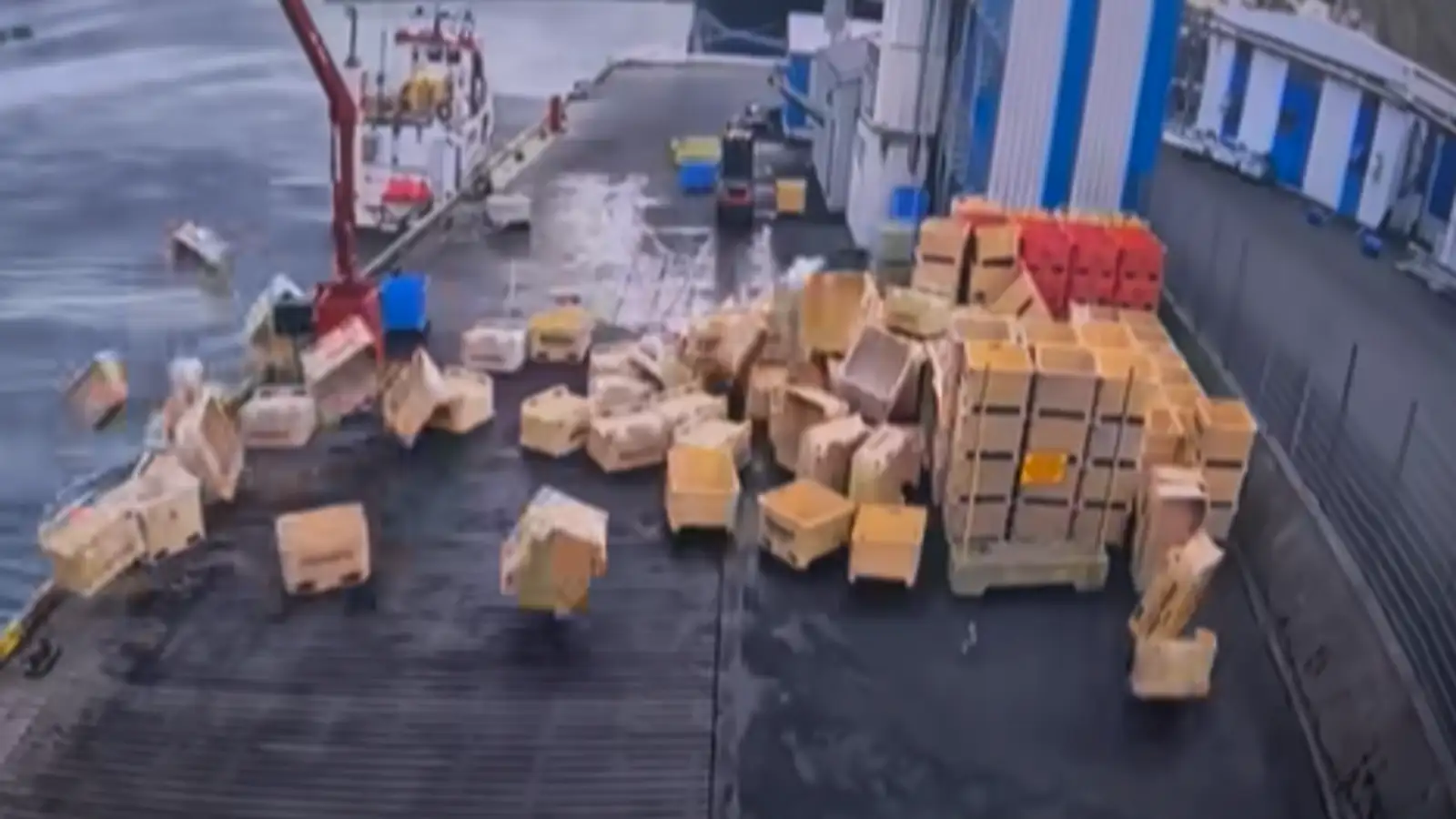 Fiskikör flugu í Norðfjarðarhöfn: „Helvítis fokking fokk“