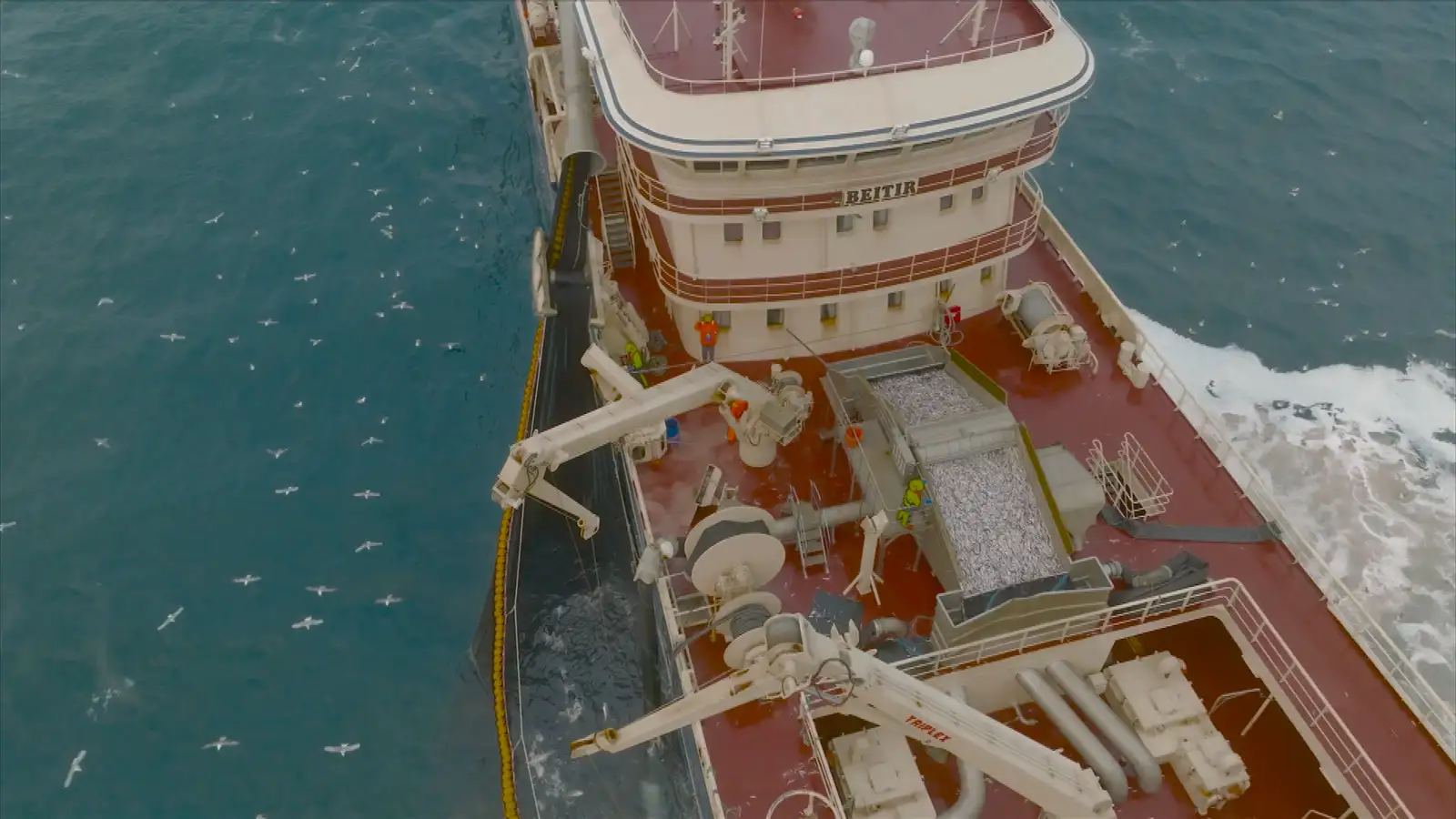 Hafnar kenningum nefndarformanns um vanútgefinn loðnukvóta